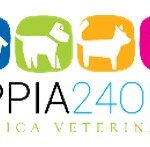 Roma Appia 24H